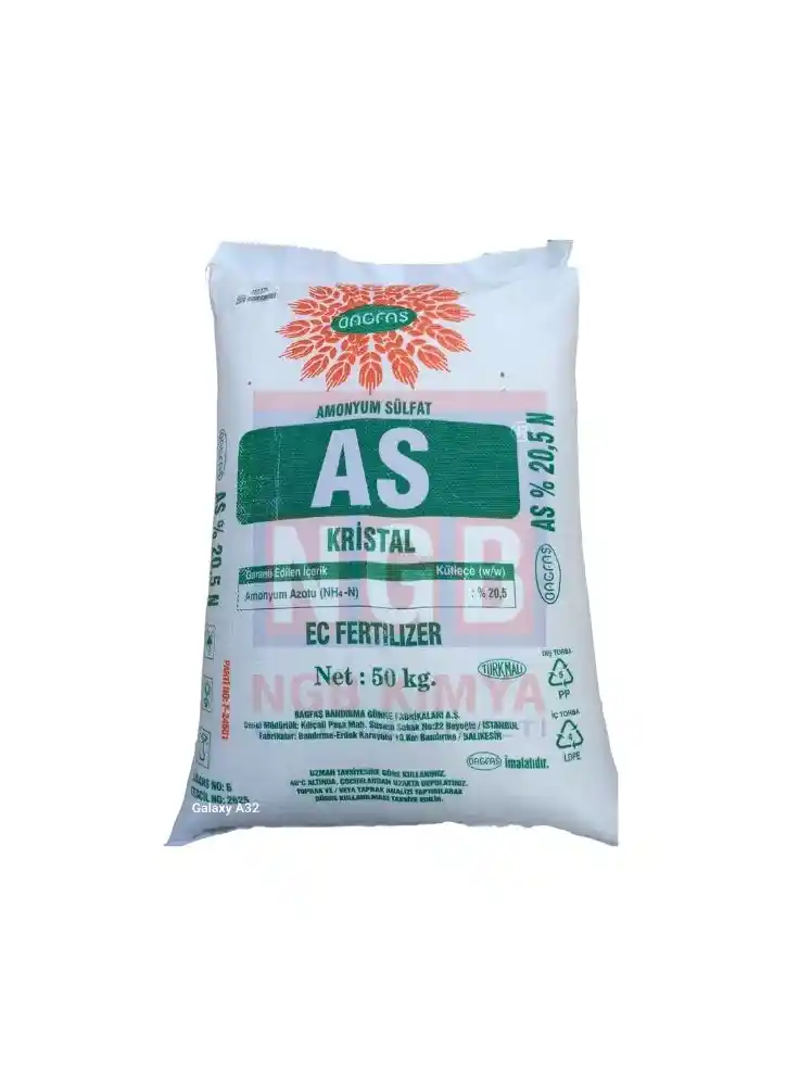 Amonyum Sülfat